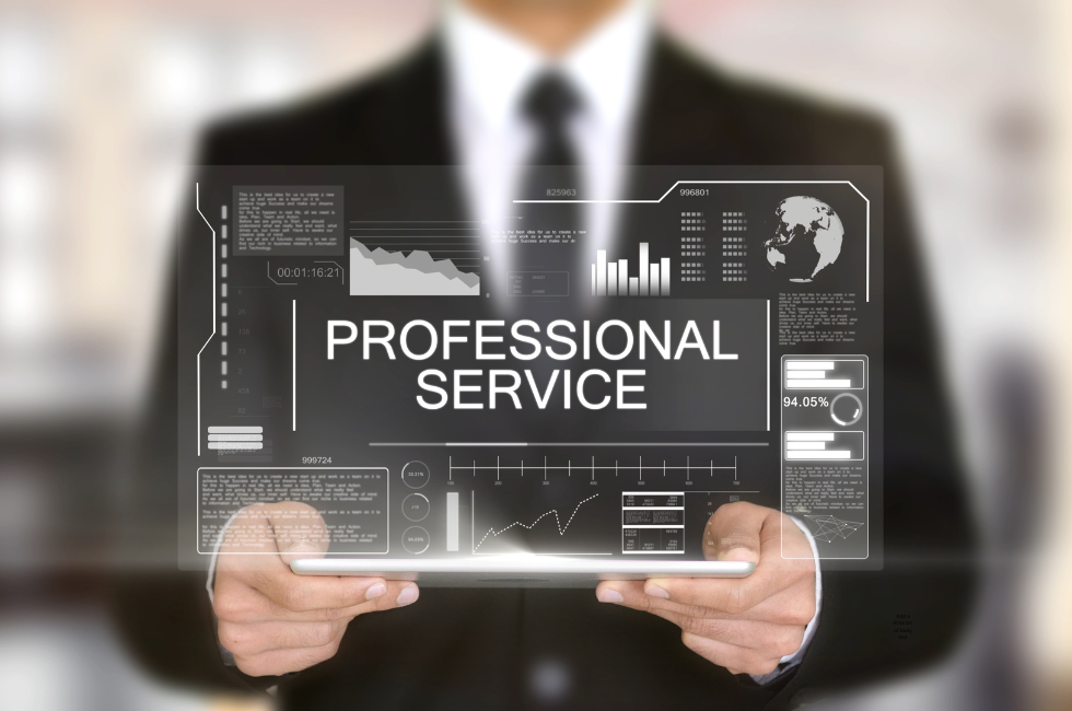 Understanding The Definition of Professional Services